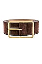 view 3 of 3 Milla Suede Belt in Chocolate & Gold