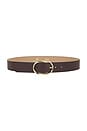 view 1 of 3 Kyra Belt in Chocolate & Gold