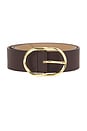 view 3 of 3 Kyra Belt in Chocolate & Gold