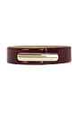 view 3 of 3 Akira Mod Belt in Chianti & Gold