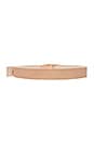 view 2 of 3 Milla Belt in Nude & Gold