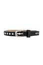 view 3 of 3 Liz Studded Belt in Black & Silver