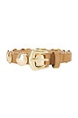 view 3 of 3 Ames Belt in Vacchetta & Gold