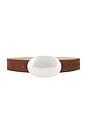 view 1 of 3 Myra Nubuck Belt in Mocha & Silver