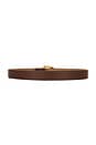view 2 of 3 Jordan Belt in Tobacco & Gold