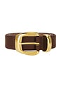 view 3 of 3 Jordan Belt in Tobacco & Gold