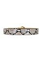 view 2 of 3 Koda Python Belt in White & Gold