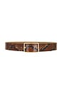 view 1 of 3 Milla Python Belt in Cognac & Gold