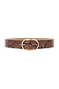 view 1 of 3 Kyra Python Belt in Cognac & Gold