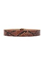 view 2 of 3 Kyra Python Belt in Cognac & Gold