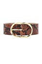 view 3 of 3 Kyra Python Belt in Cognac & Gold