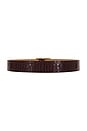 view 2 of 3 Milla Croco Belt in Merlot & Gold