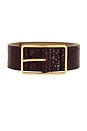 view 3 of 3 Milla Croco Belt in Merlot & Gold
