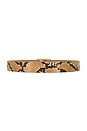 view 2 of 3 Milla Python Belt in Camel & Gold