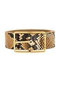 view 3 of 3 Milla Python Belt in Camel & Gold
