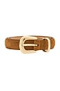 view 3 of 3 CINTO DE CAMURÇA LEO in Camel & Gold