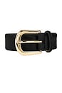 view 3 of 3 Kennedy Calf Hair Belt in Black & Gold