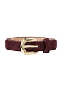 view 3 of 3 Kennedy Mini Calf Hair Belt in Burgundy & Gold