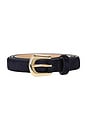 view 3 of 3 Kennedy Mini Calf Hair Belt in Navy & Gold