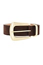 view 3 of 3 CEINTURE JORDANA in Chocolate & Brushed Brass