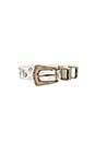view 3 of 3 Lennie Transparent Belt in Clear & Gold