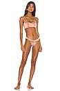 view 4 of 4 BRAGUITA BIKINI ISLAND FEVER in Rose Stamped