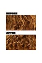 view 4 of 9 Densifying Shampoo in 