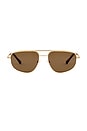 view 1 of 3 The Halle Sunglasses in Gold & Brown