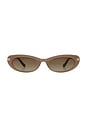 view 1 of 3 Rae Sunglasses in Taupe & Brown