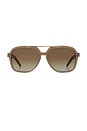 view 1 of 3 Lopez Sunglasses in Taupe & Brown