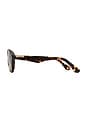 view 3 of 3 LUNETTES DE SOLEIL THE RILEY in Amber Tort & Light Green