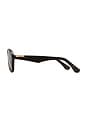 view 3 of 3 LUNETTES DE SOLEIL THE RILEY in Havana Tort & Chocolate