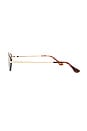 view 3 of 3 LUNETTES DE SOLEIL CHANDRA in Light Gold & Chocolate