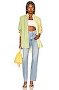 view 4 of 4 Henrietta Shirt in Yellow & Green