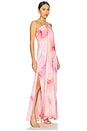 view 2 of 4 Mar Long Dress in Flora