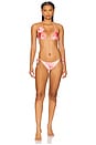 view 4 of 4 Naos Bikini Bottom in Flora