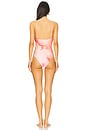 view 3 of 4 Fibi One Piece Swimsuit in Flora