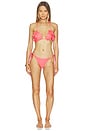 view 4 of 4 Naos Bikini Bottom in Rose