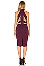view 4 of 4 BLACK Double Knit Sleeveless High Neck Mini Dress in Wine