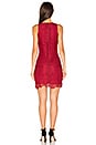 view 3 of 4 BLACK Lace Bodycon Dress in Cranberry