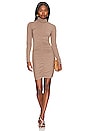 view 1 of 3 Shirred Turtleneck Mini Dress in Java