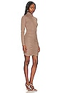 view 2 of 3 Shirred Turtleneck Mini Dress in Java