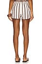 view 4 of 6 Short in Tiki Stripe