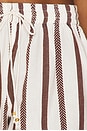 view 6 of 6 Short in Tiki Stripe
