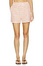 view 1 of 6 SHORT DE GYM GYM SHORT in Coral Stripe