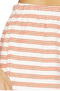 view 6 of 6 SHORT DE GYM GYM SHORT in Coral Stripe