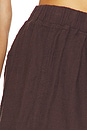 view 6 of 6 Pleated Shorts in Umber