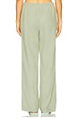 view 4 of 6 Wide Leg Pant in Juniper