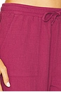 view 6 of 6 Jogger Pants in Chutney