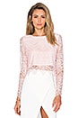 view 1 of 4 BLACK Lace Long Sleeve Crop Top in Blush